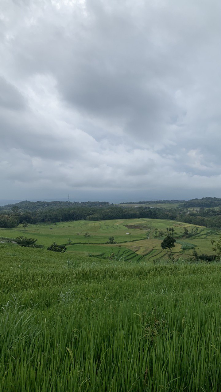 Kantor Desa